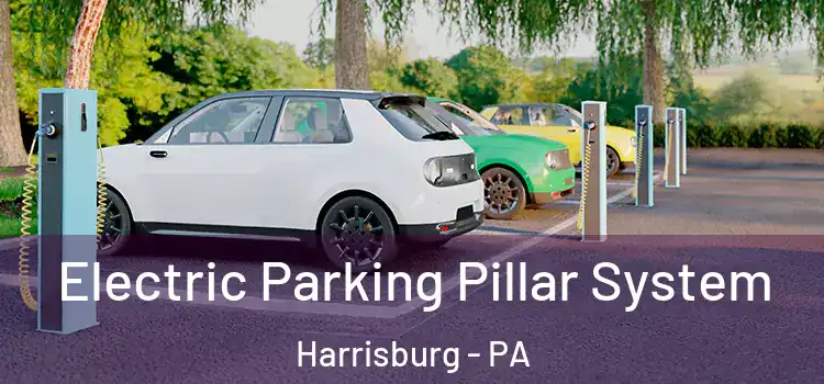Electric Parking Pillar System Harrisburg - PA