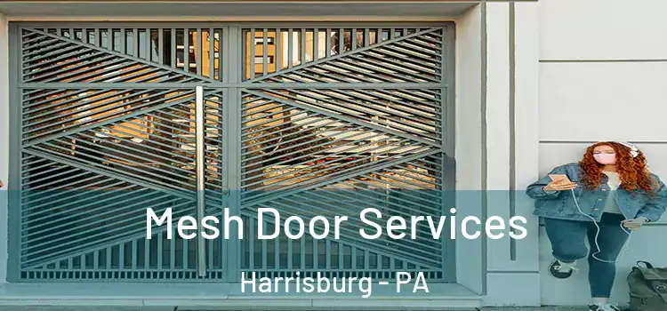 Mesh Door Services Harrisburg - PA